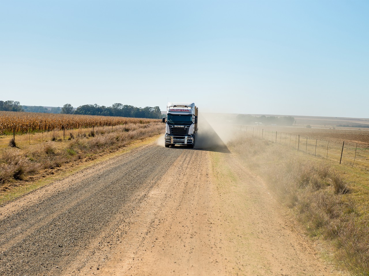 Lauksaimniecības kravas automašīna lopu transportēšanai