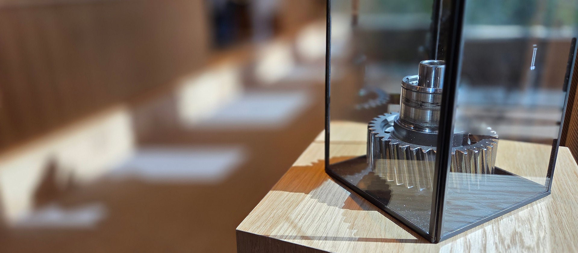 Cog on display