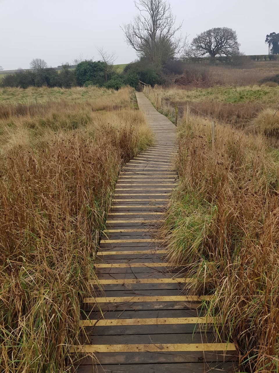 Photo of steps going down hill in a field