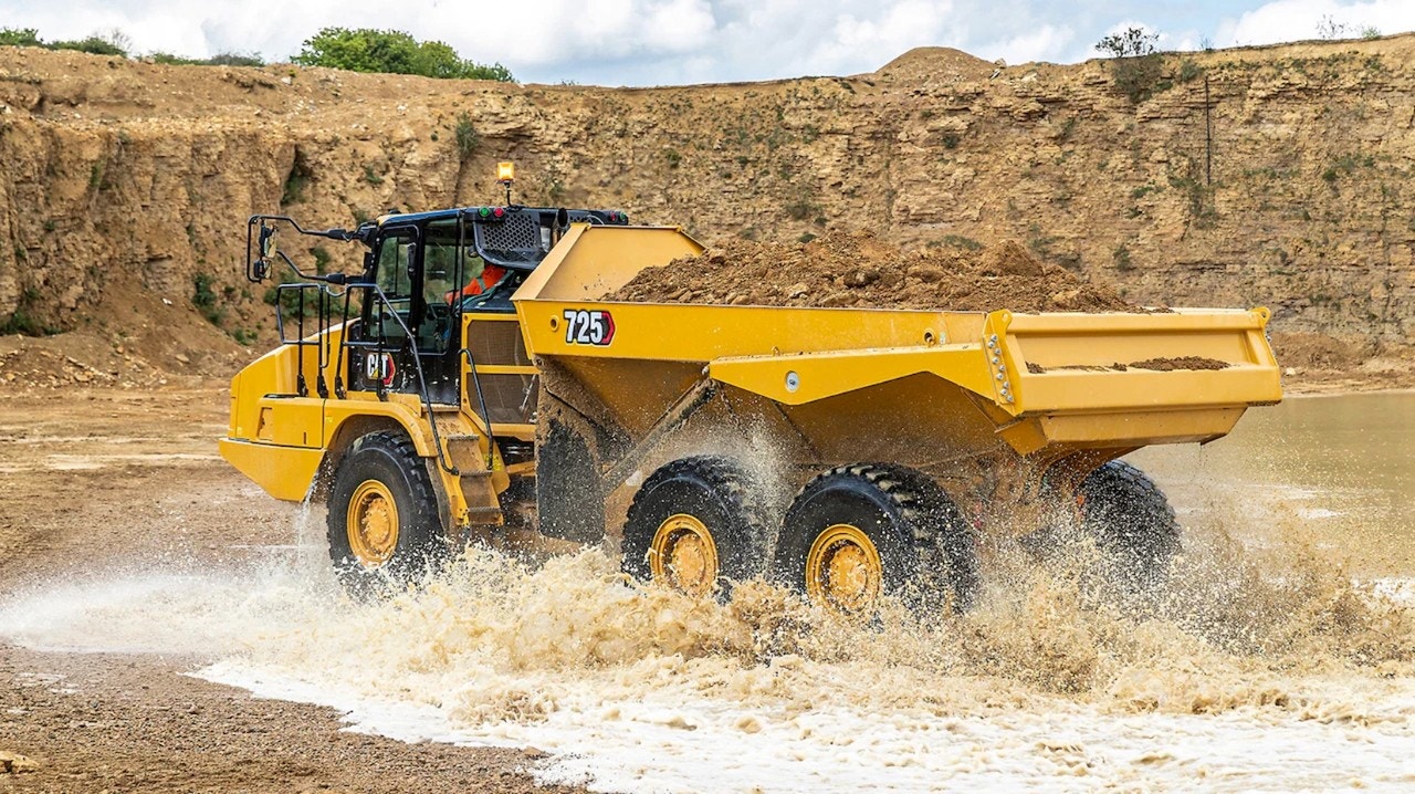 Cat dumper