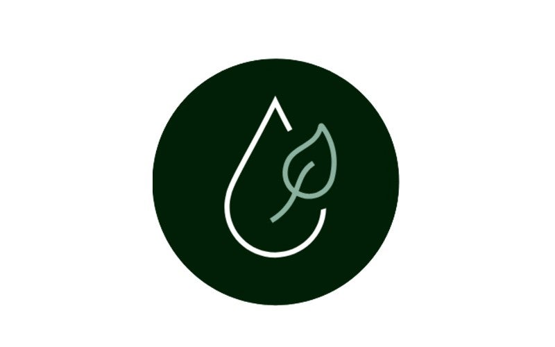 fatty Acid Methyl Ester