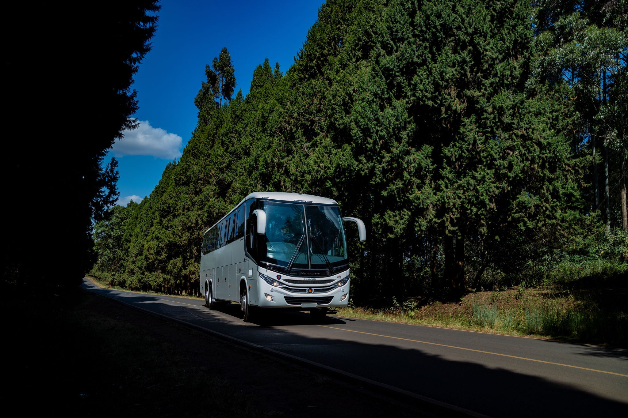 Scania Marcopolo Bus