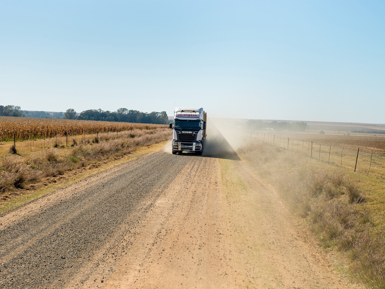 Agrovrachtwagen voor veetransport