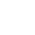 Monitoring Report