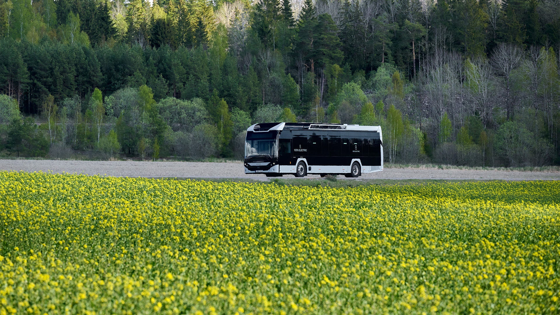 Scania bus
