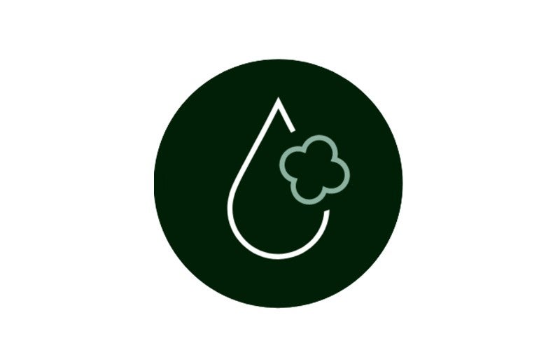 Hydrotreated Vegetable Oil