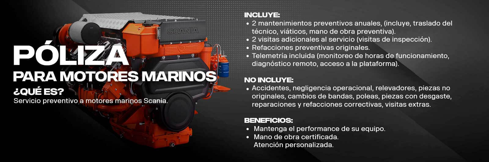Mantenimiento motores marinos Scania