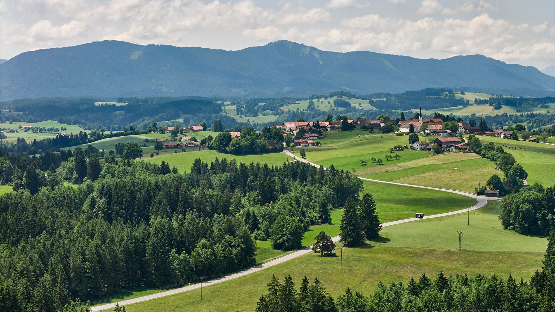 Green landscape