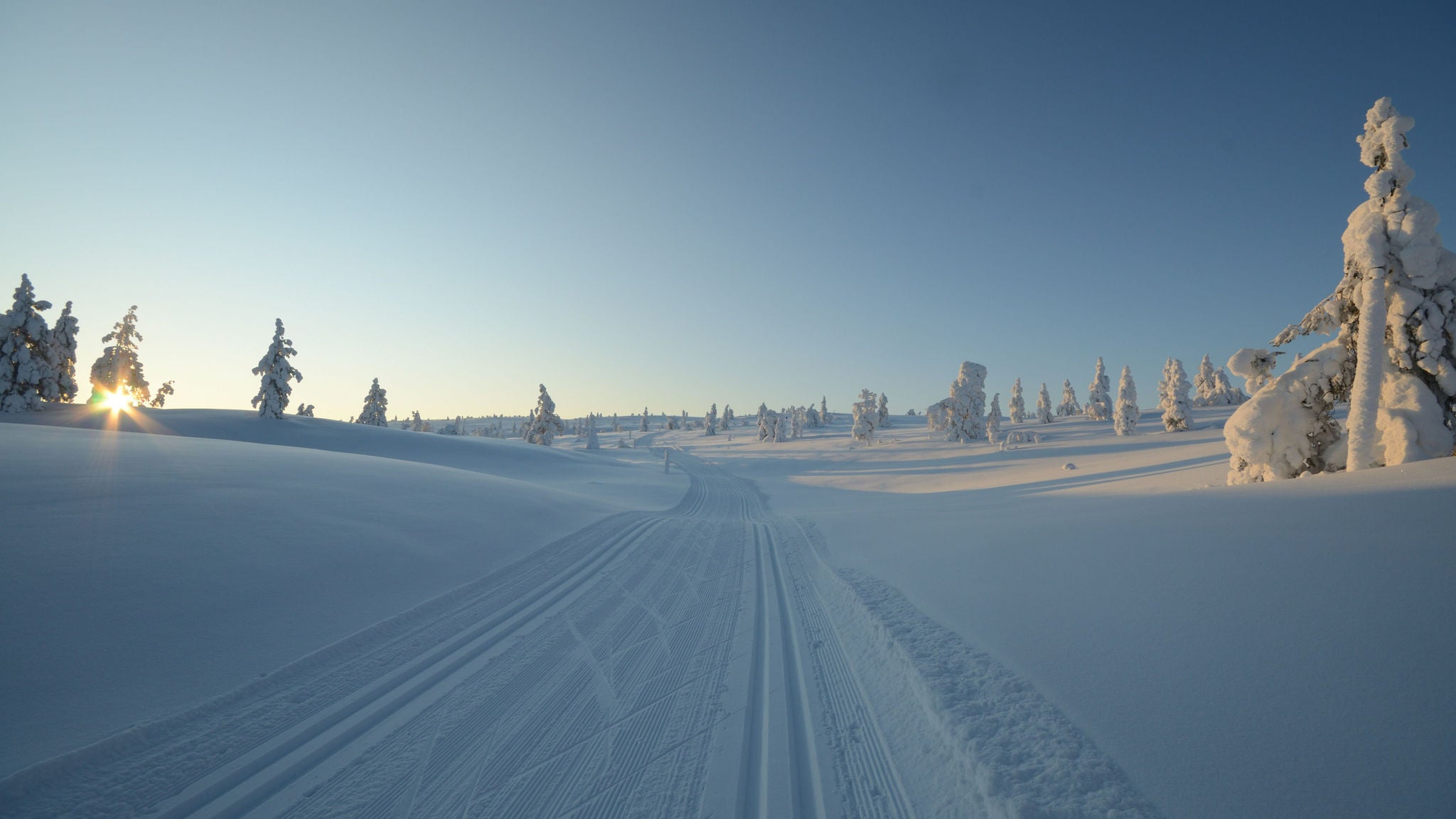 winter landscape