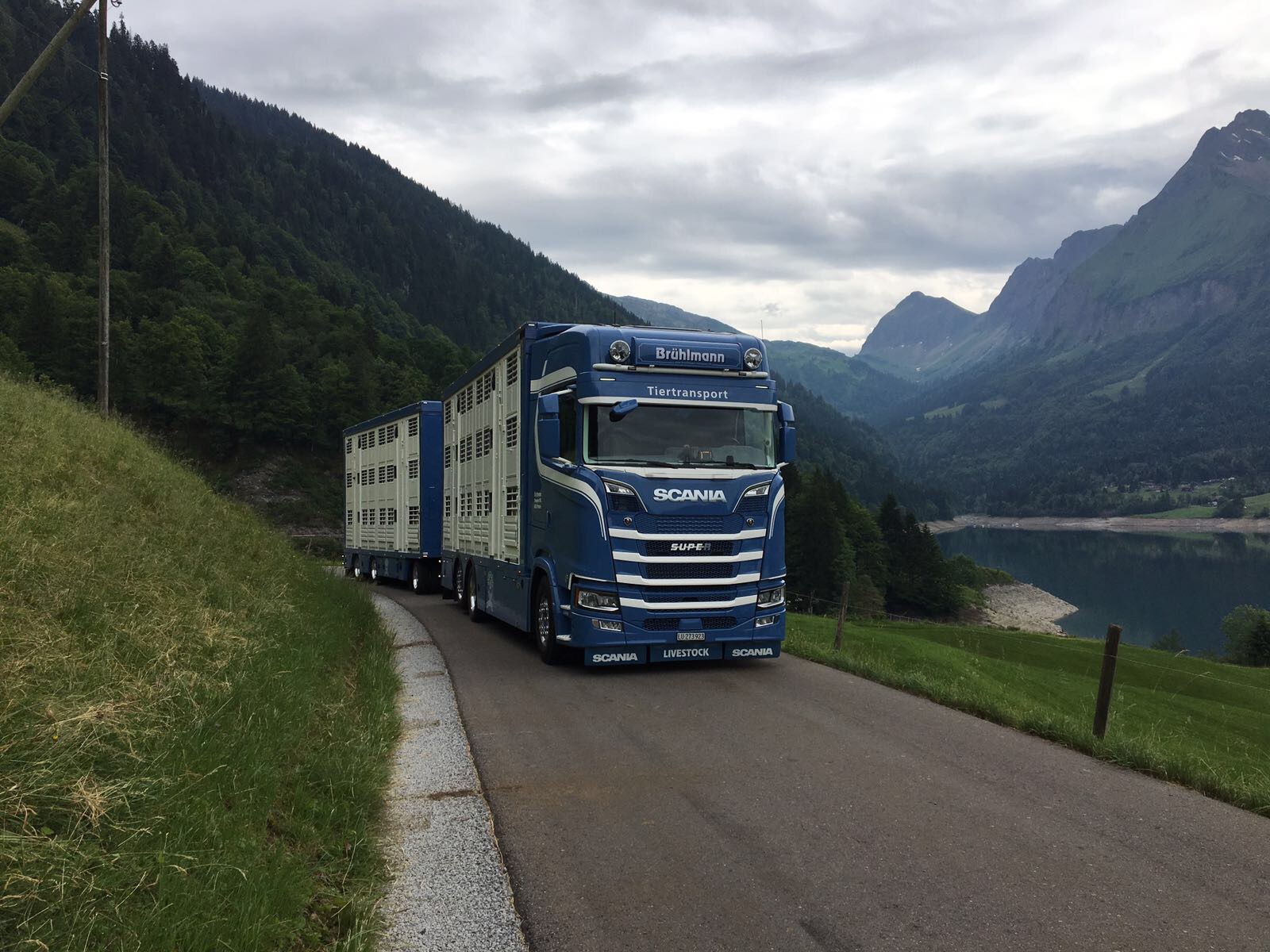 Scania S