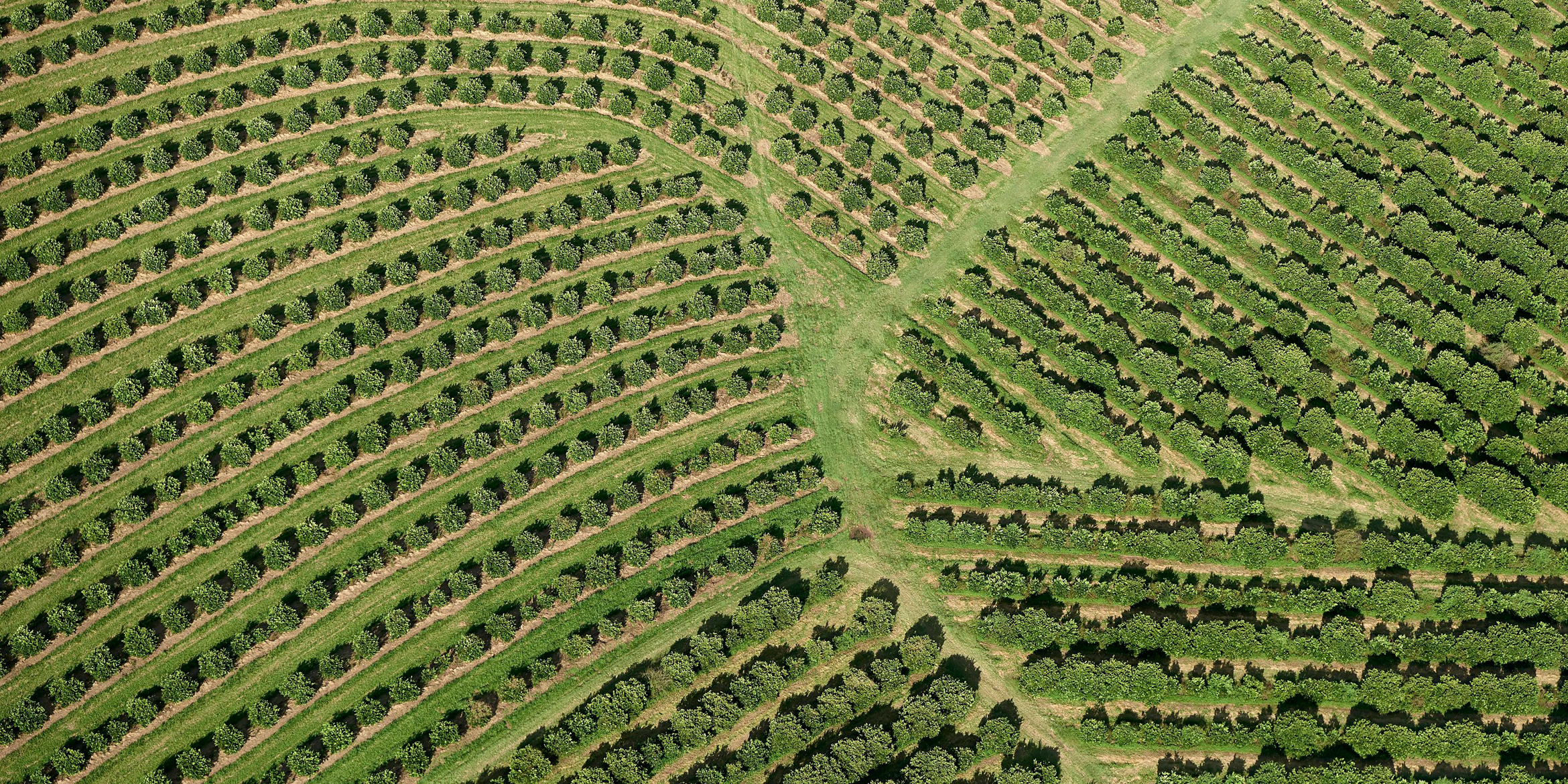 SUSTENTABILIDADE SUSTENTABILIDADE