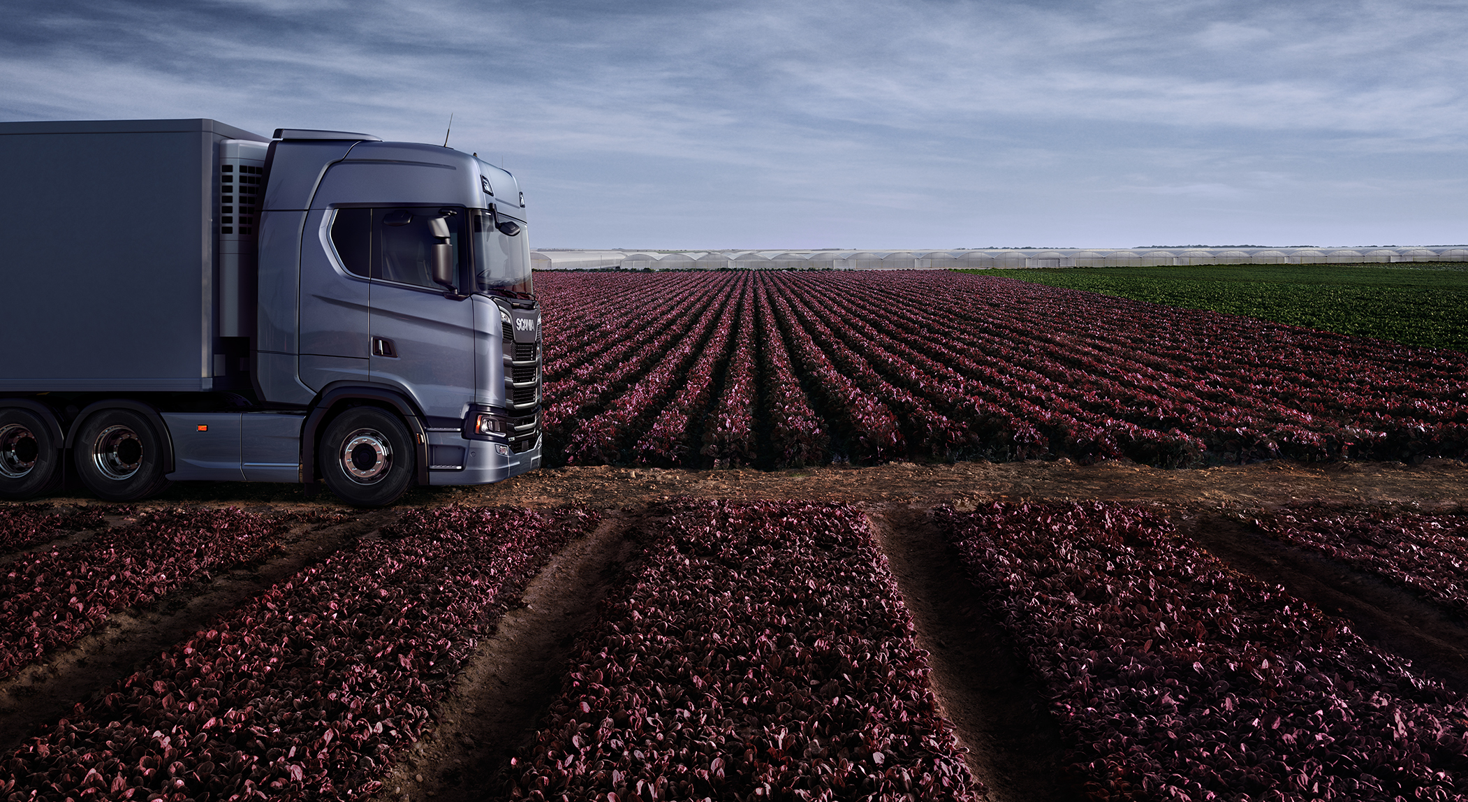 find out about our trucks for sale