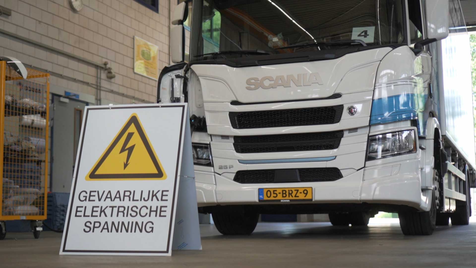 BYD Dolphin: alle nieuwste features van de compacte elektrische auto die de markt wil leiden