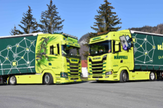 Quelle merveille, ce camion ! Presque trop beau pour rouler sur les routes d'Eu-rope.