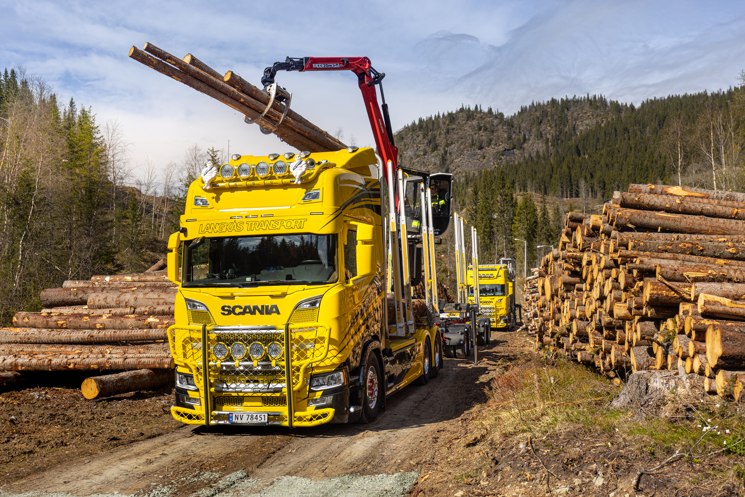 770 hester gjennom skogen | Scania Norge, image size:2501x1668