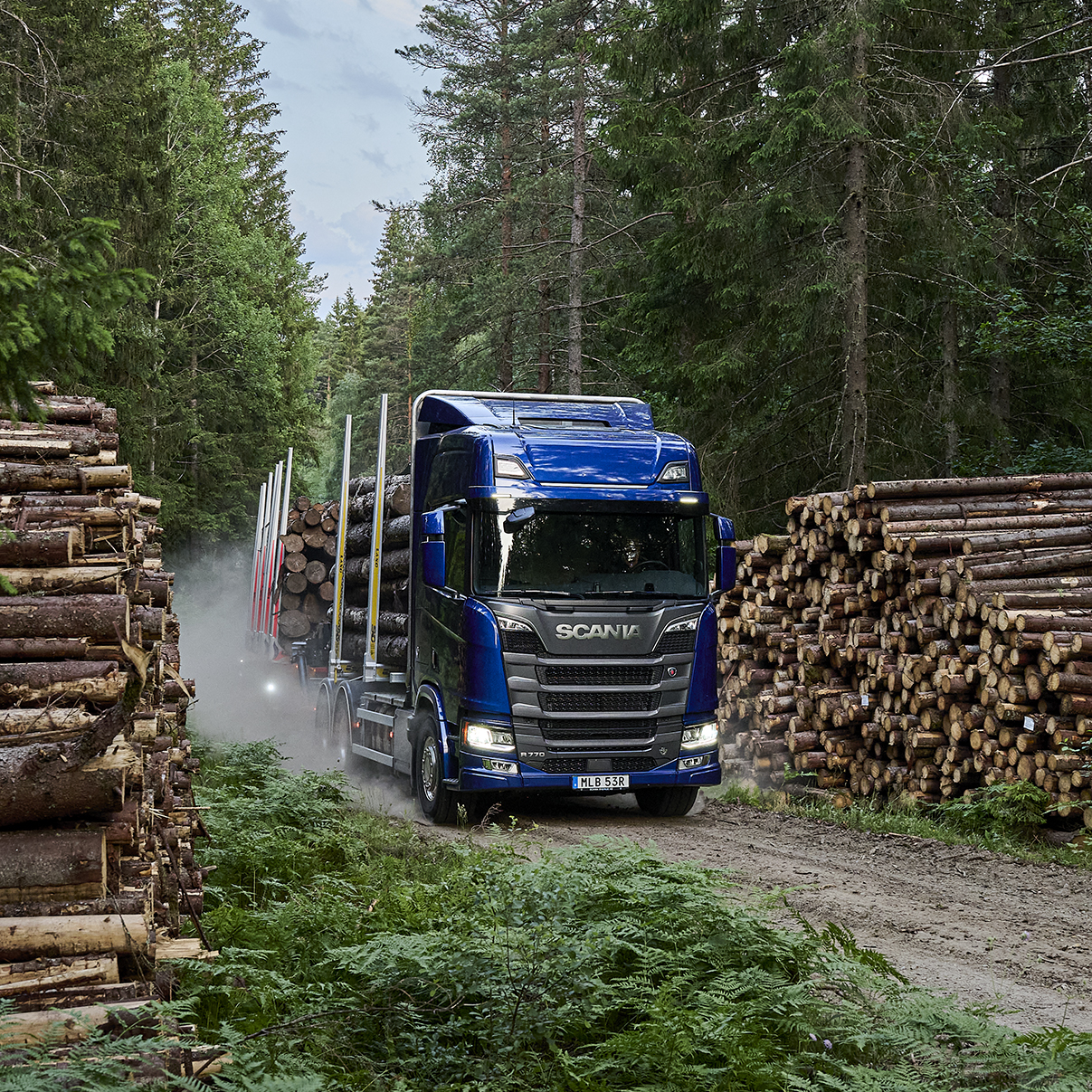 Scania lastbil i skogen vid timmer
