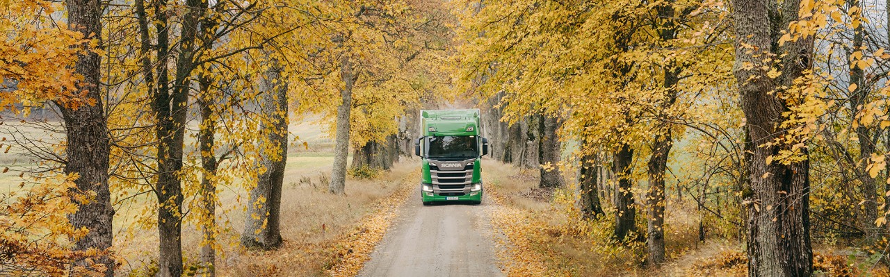 Grüner Scania P unterwegs auf laubbedeckter Straße – Ecolution