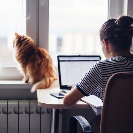 Flexible Working