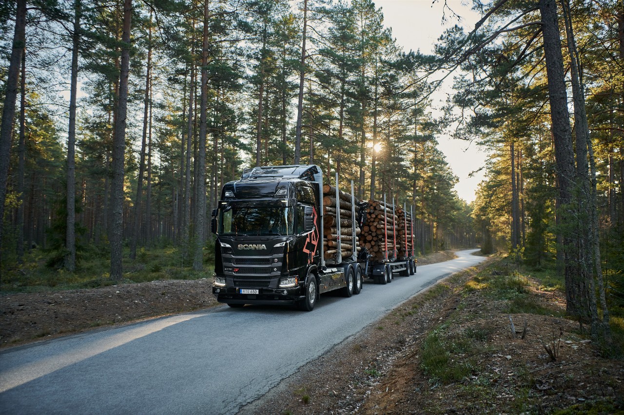 Lesní přeprava
