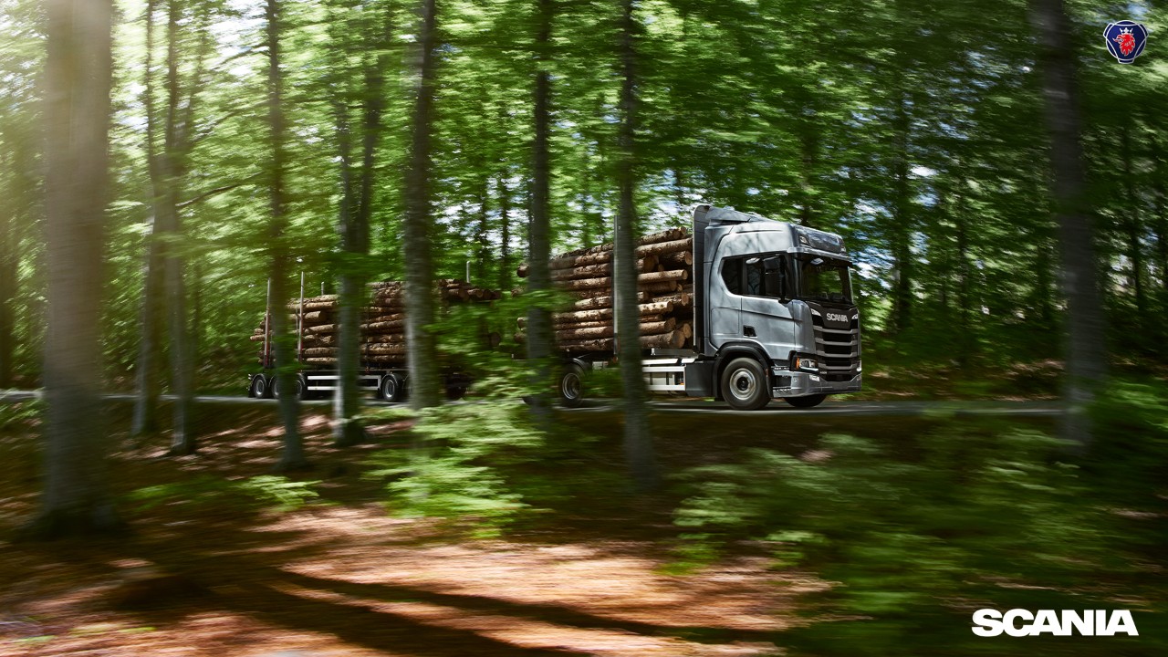Scania Holztransporter im Wald 