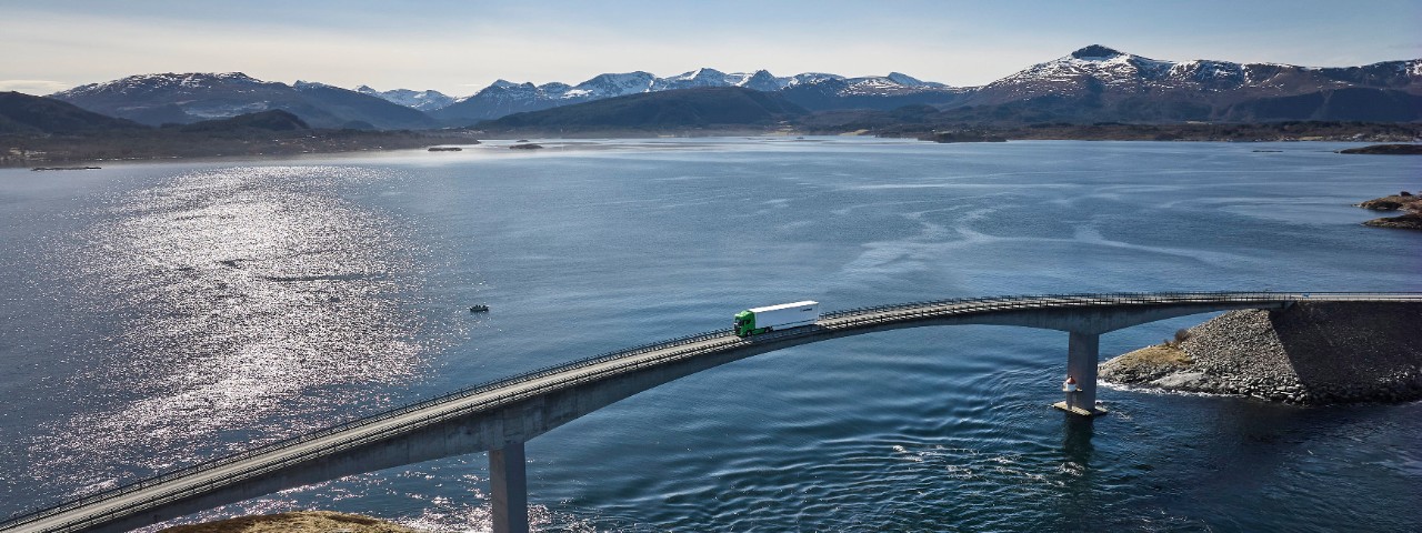Øvrige udbud