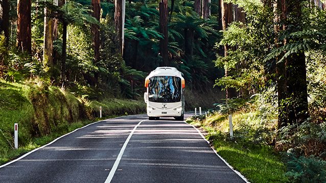 En buss som kör genom en skog