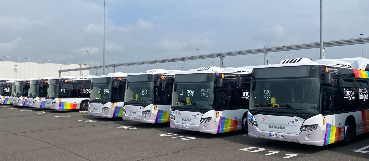 Des Citywide GNV pour Angers Loire Métropole