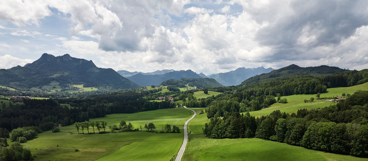 Green landscape
