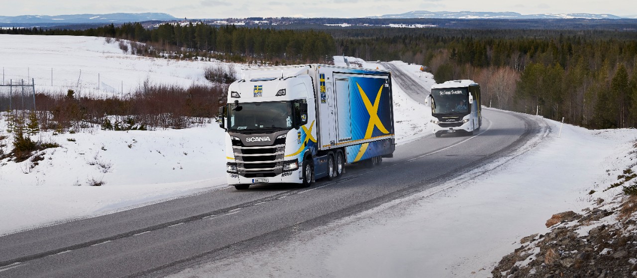 Ski-team Sweden