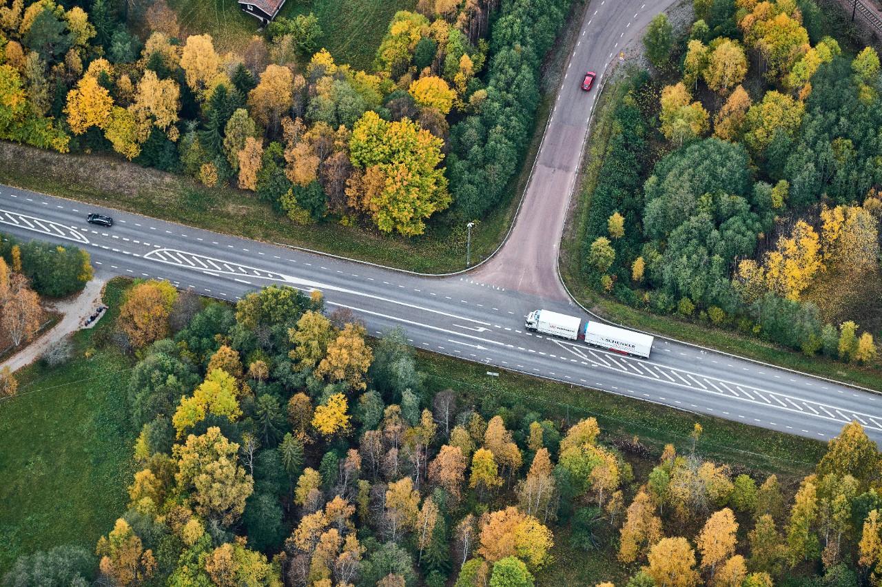 Forest and road, aerial view