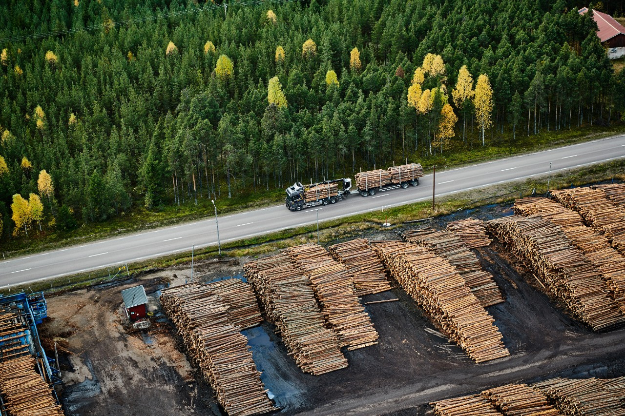 Forestry industry and timber transport, aerial view