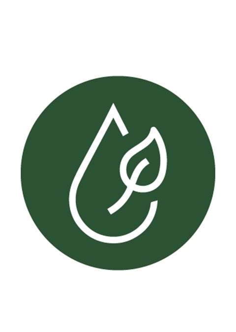 Biofuels are the best near-term choice