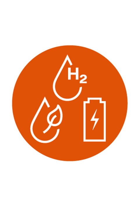 Late start for fuel cell electric vehicles