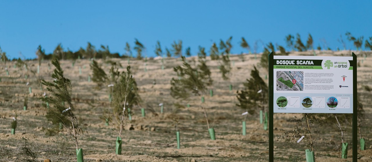 One tree planted for every vehicle sold