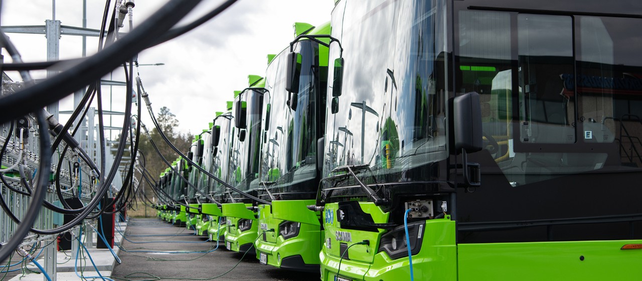 Bus company Bergkvarabuss trusts Scania all the way