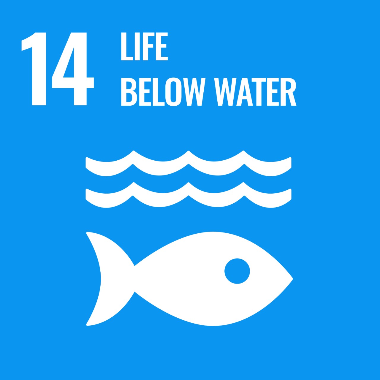SDG 14 – Life below water