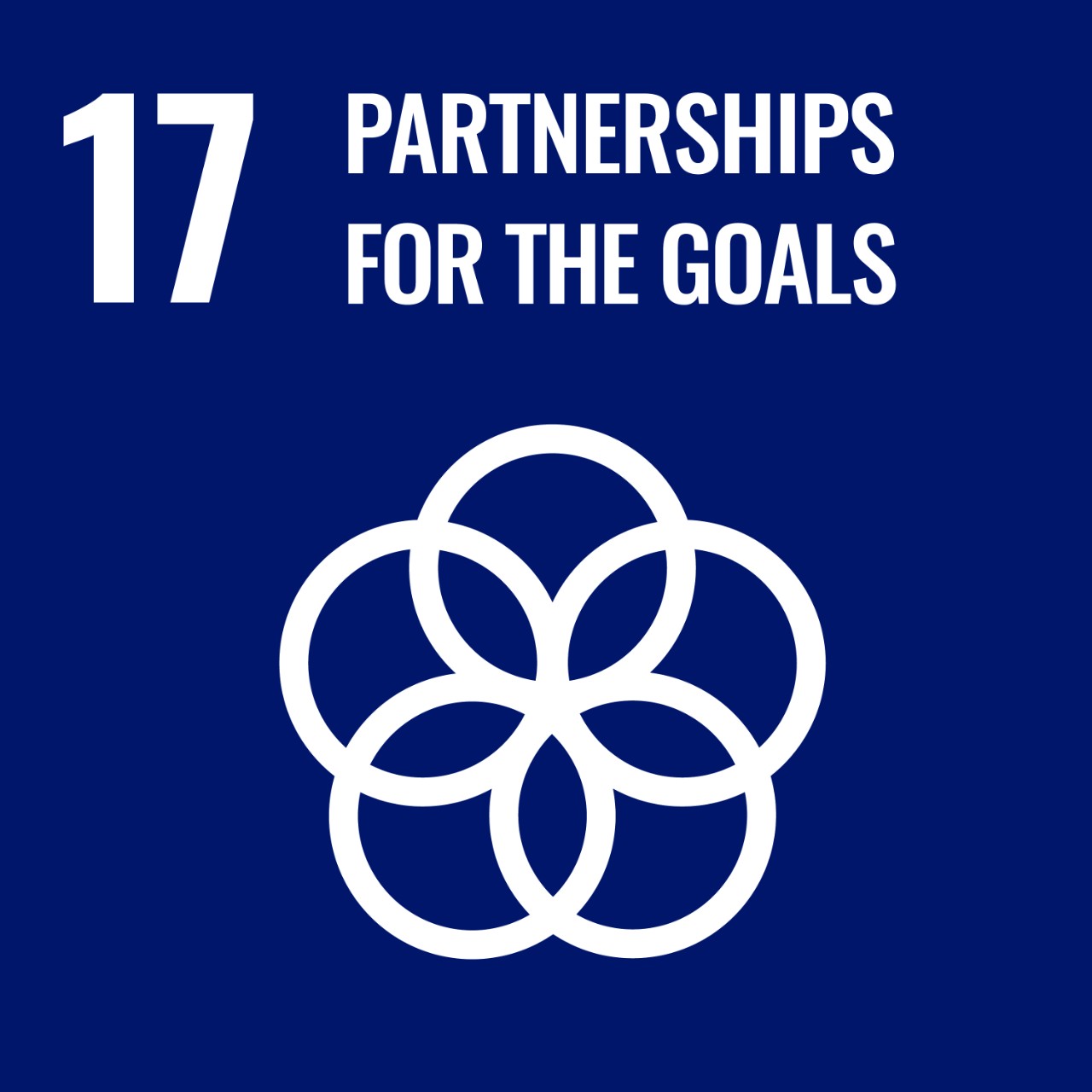 SDG 17 Partnership for the goals