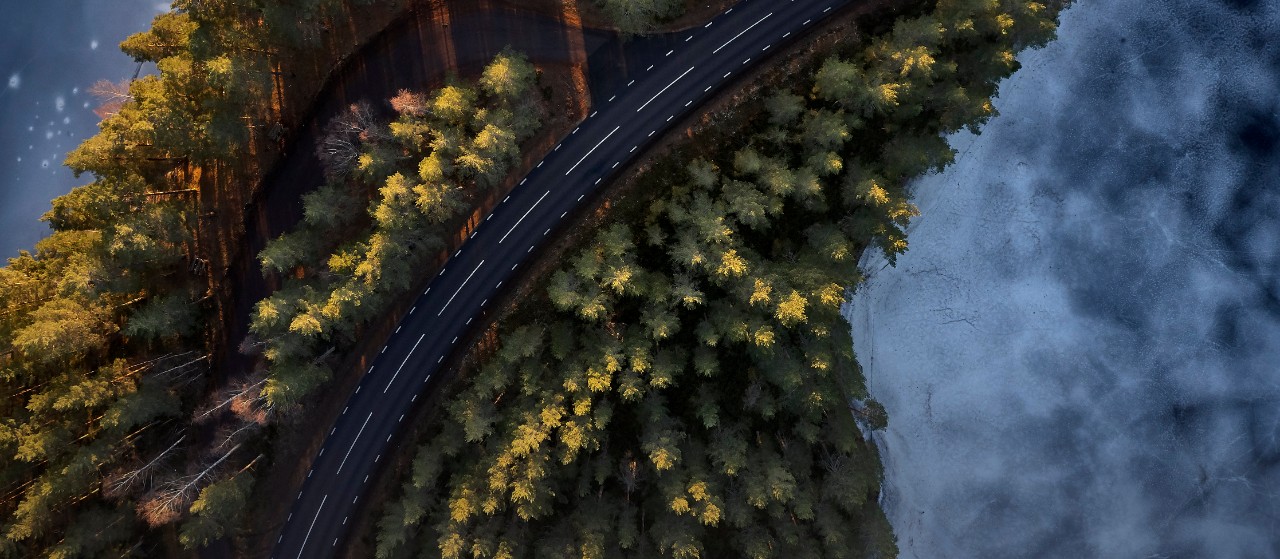 Road, forest and lake, aerial view