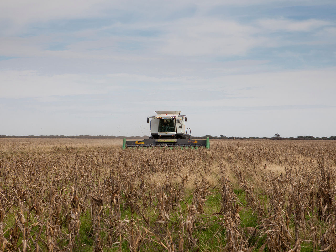 Agriculture
