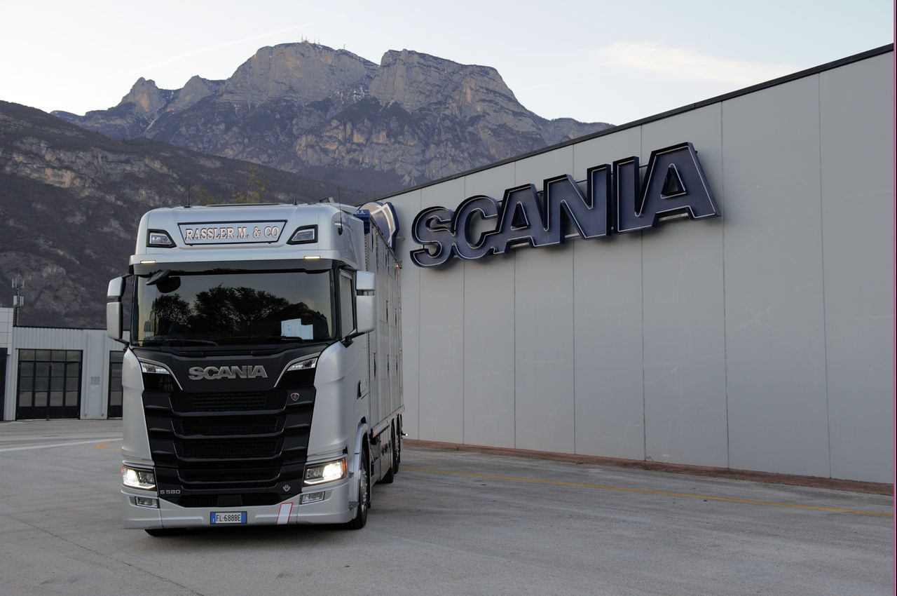 Scania trasporto animali 