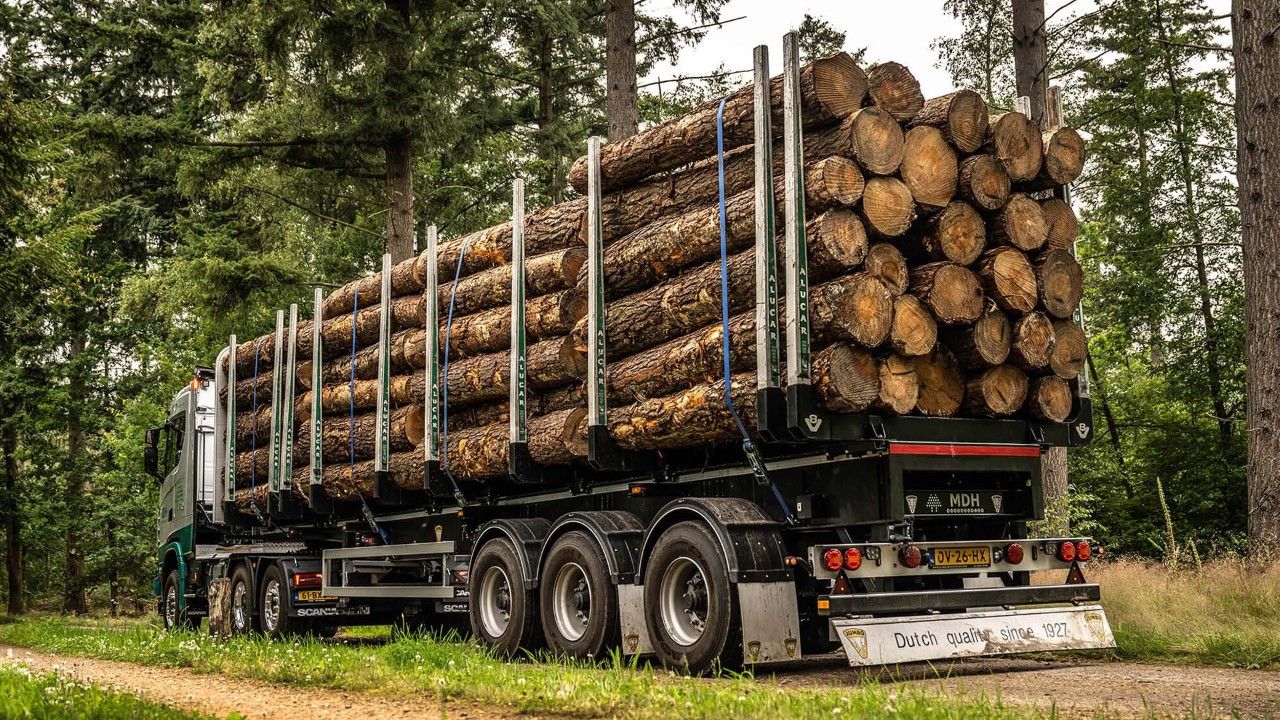 Bosbouw vrachtwagen