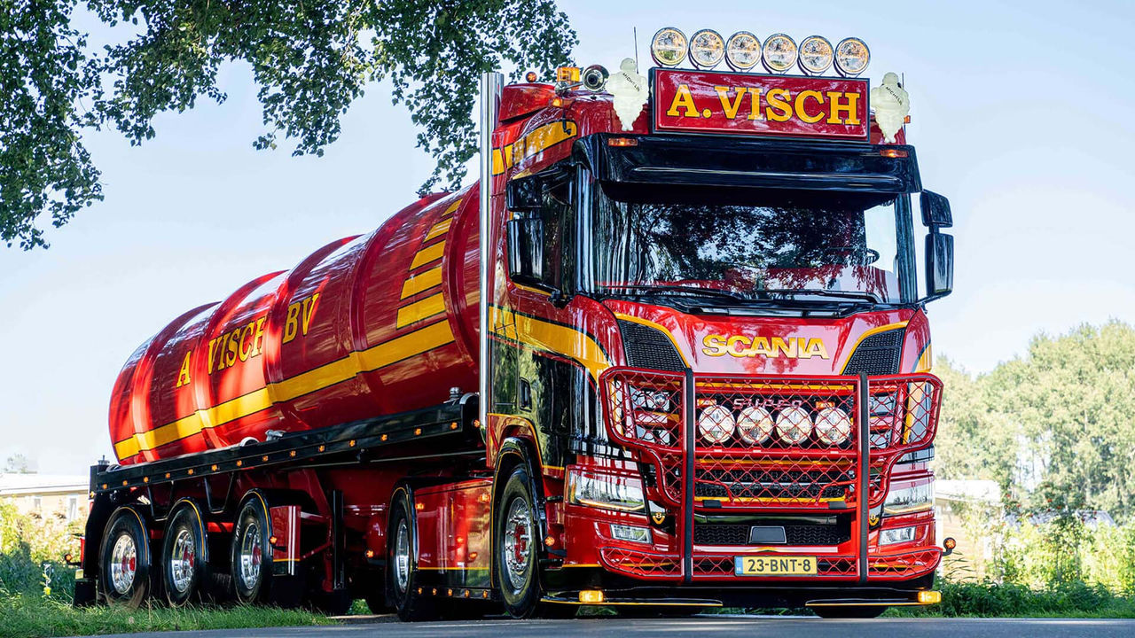 A. Visch