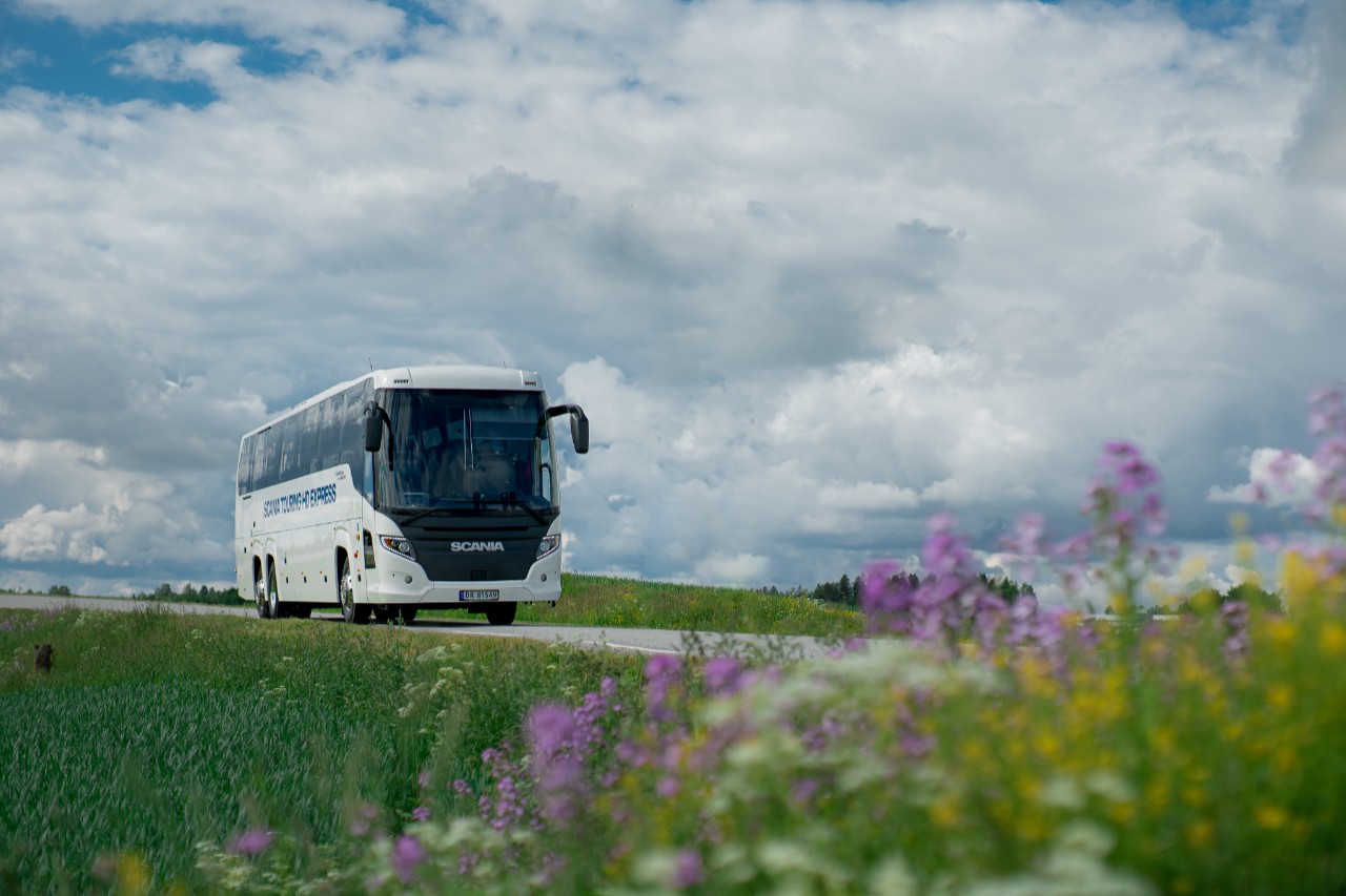Buss som kjører i skogen