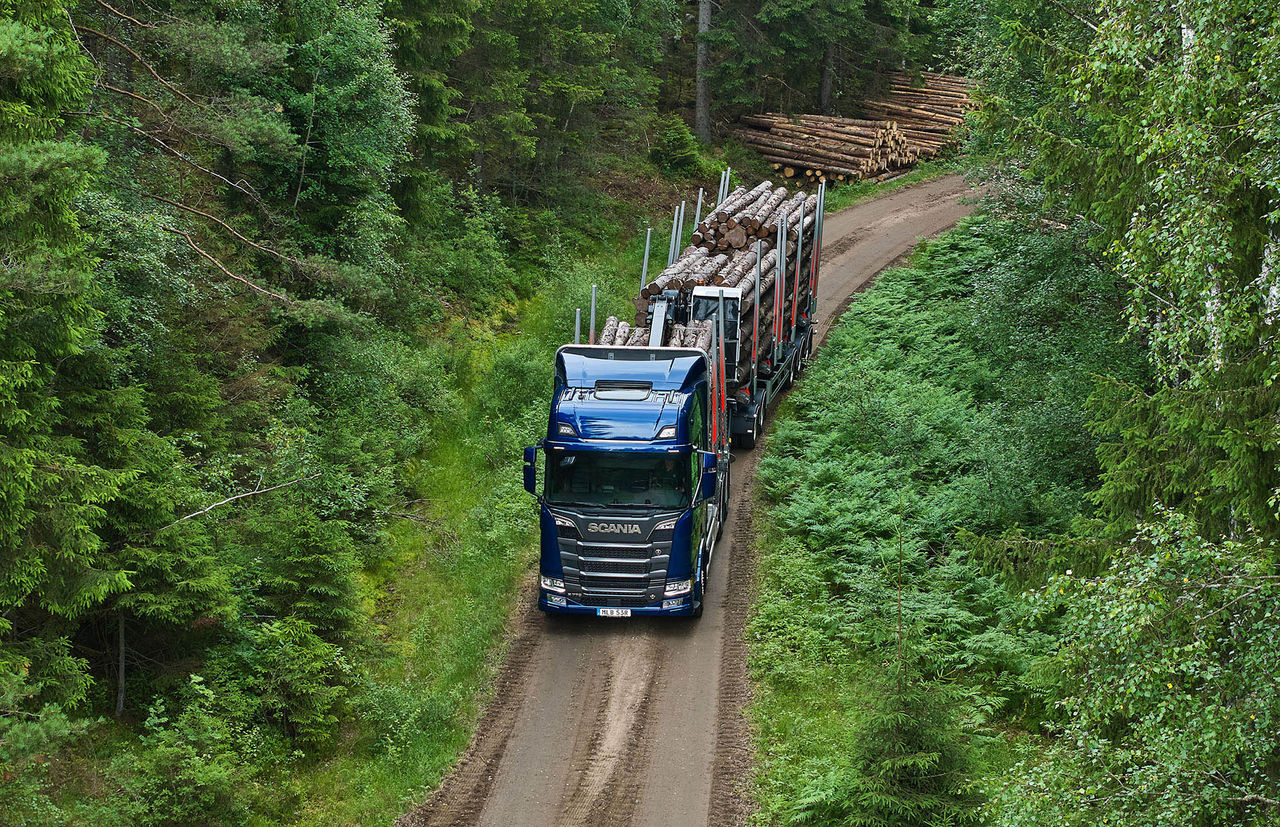Transport drewna