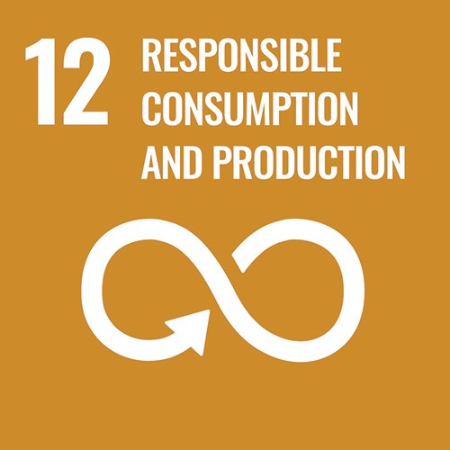 Hållbar konsumtion och produktion