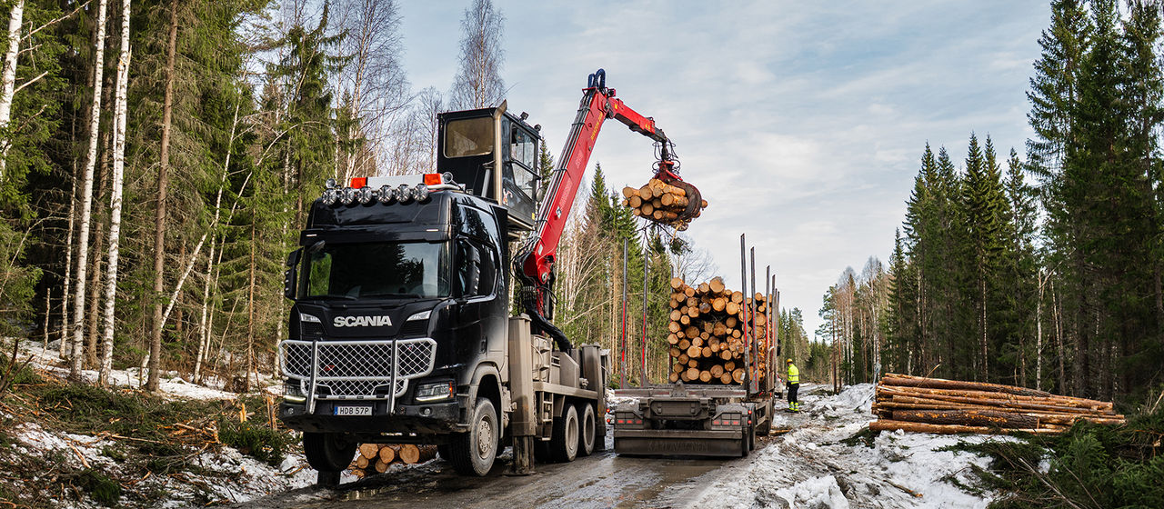 Separatlastare i skogen