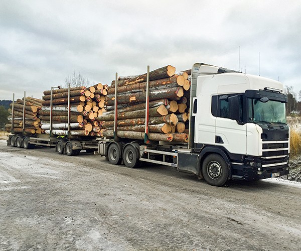 Scania skogstransport
