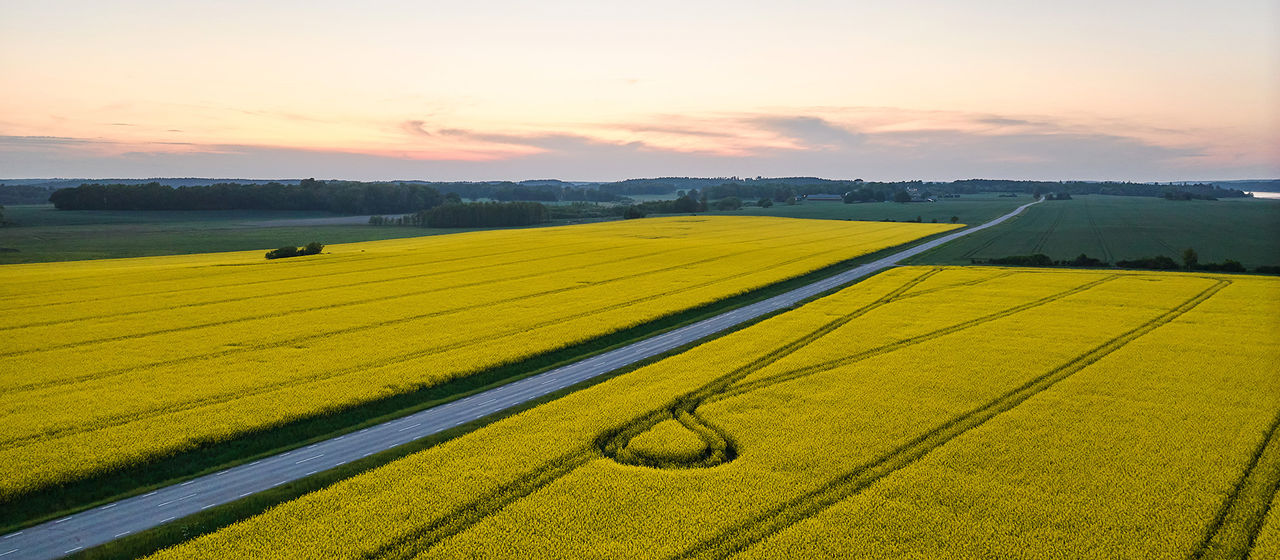 Renewable fuels