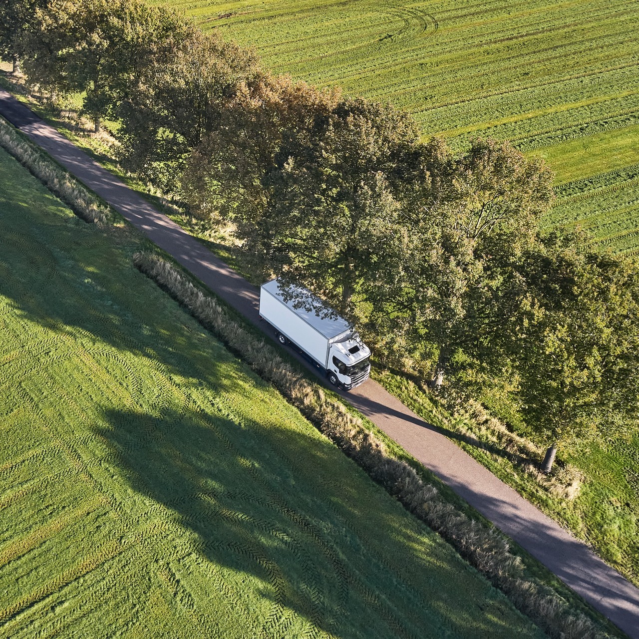 Scania truck driivng in green area