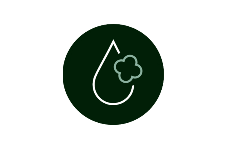 Hydrotreated Vegetable Oil